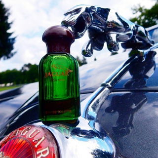 Jaguar for Men (Eau de Toilette) - Jaguar