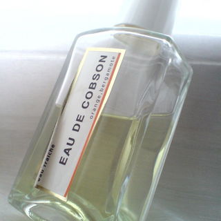 Flower Fairies - Jasmine - Woods of Windsor