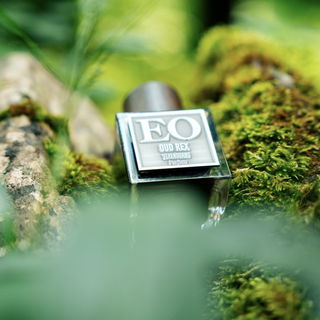 Oud Rex: Terengganu von Ensar Oud / Oriscent