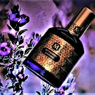 Bittersweet Symphony - House of Matriarch