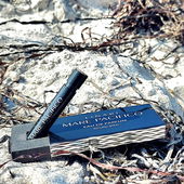 Algenbandsalat (by CharlAmbre)