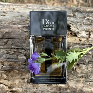 Dior Homme Intense (2011) von Dior