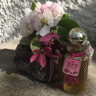 My Melody Flowers (Eau de Toilette) - Mülhens