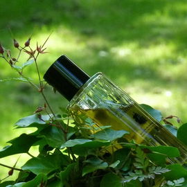 Special for Gentlemen (2014) - Le Galion
