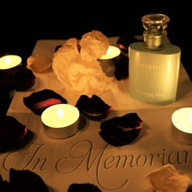 Remember Me - Dior