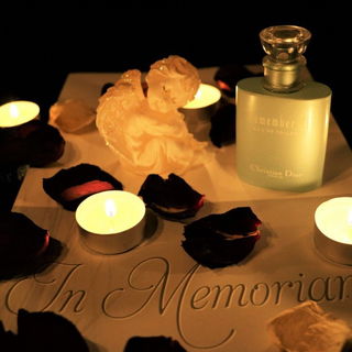 Remember Me - Dior