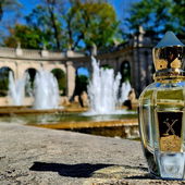 Die sieben Raben (von Castbreeder)