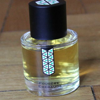 Fougère Emeraude - Les Indémodables