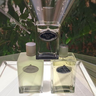 Infusion d'Iris Cèdre von Prada