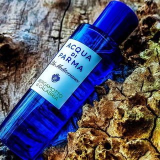 Bergamotto di Calabria von Acqua di Parma