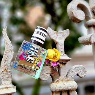 ***Blumig-fröhlich-frisch: Kunterbuntes Frühlingssehnen gegen das Januar-Grau. Danke, dass Ihr hier wart 💛🩷🩵***