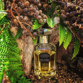 Piper Nigrum - Lorenzo Villoresi