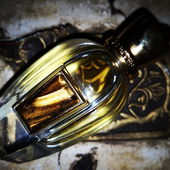 Vielen Dank, dass Sie mich hier besuchen und liebe Kommentare schreiben :-) (von ElenaN)