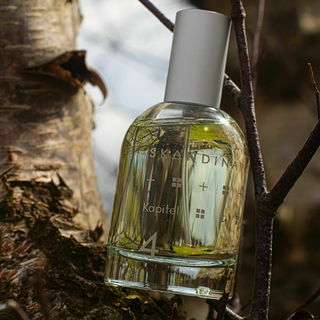 Eine Birke an der Nordsee 😉 vielen lieben Dank für eure lieben Worte, wie immer