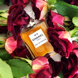 Zara Bloom 03 - Hibiscus - Zara