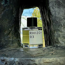 Rhizome 03 - Rhizome