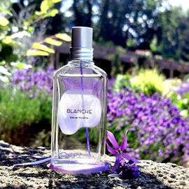 💜 Lavendelglück 💜