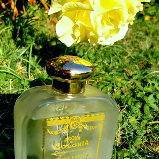 Tabacco Toscano (Eau de Cologne) - Santa Maria Novella