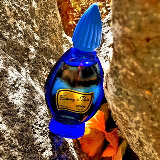 Im Steinkreis; das Portal in eine andere Zeit.