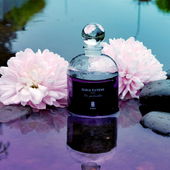 Die melancholisch-tröstende Seite des Duftes (by Gandix)