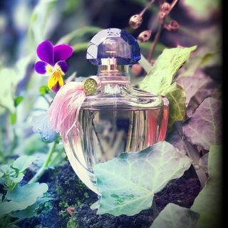 Aqua Vitae Forte - Maison Francis Kurkdjian