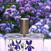 Ein liebliches süsses Blümlein (von TomLavender)