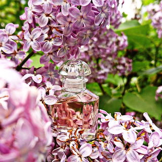Mon Guerlain (Eau de Parfum Florale) - Guerlain