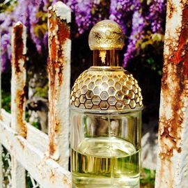 Aqua Allegoria Rosa Magnifica - Guerlain
