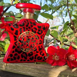 New Bond St. - Bond No. 9