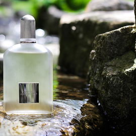 Grey Vetiver (Eau de Parfum) - Tom Ford