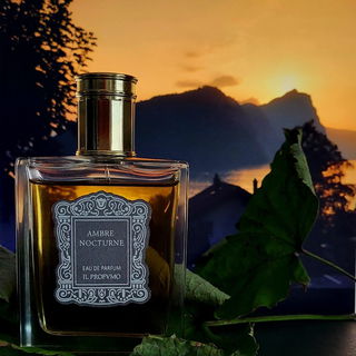Ambre Nocturne von Il Profvmo