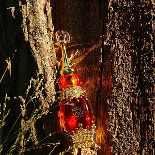 🧡 Spätsommerliches Leuchten 🧡 Lieben Dank Euch allen 🧡