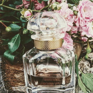 Mon Guerlain (Eau de Parfum) von Guerlain