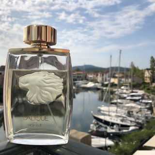 Lalique pour Homme Lion (Eau de Parfum) - Lalique