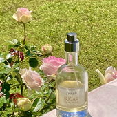 Frühsommer :) (von Pollita)