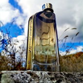 Würzige Herbstluft - Ganz herzlichen Dank für eure wertschätzenden Worte, über euren Besuch habe ich mich sehr gefreut.  😊 (von GreenIvy)