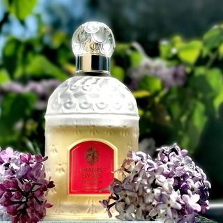 Champs-Élysées (Eau de Parfum) - Guerlain