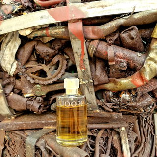 ***Die Dame ist sich auch fürs Grobe (Altmetall aus dem Fluss, in den 70er Jahren 