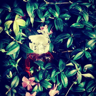 LolitaLand by Lolita Lempicka