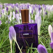 Der Frühling ist da… 🌹 Vielen Dank für eure Auszeichnungen 🌹 Ich wünsche allen Frauen nur das Beste, nicht nur am Weltfrauentag 🌹 (von Taunusblume)