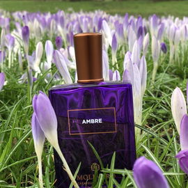 Der Frühling ist da… 🌹 Vielen Dank für eure Auszeichnungen 🌹 Ich wünsche allen Frauen nur das Beste, nicht nur am Weltfrauentag 🌹