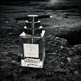 Osmanthus - The Different Company