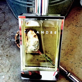 Calandre (Eau de Toilette) - Rabanne