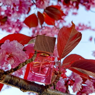 Vielen Dank für Eure Auszeichnungen und Eure Kommis, Ihr Lieben! Das Licht war wirklich wunderbar an diesem Tag, leider war es auch extrem windig ;-)