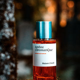 Ambre Chromatique - Maison Crivelli