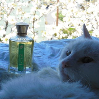 Premier Figuier Extrême von L'Artisan Parfumeur