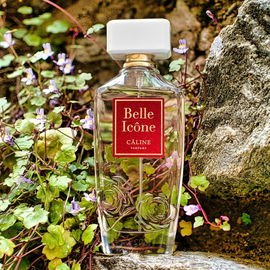 Belle Icône - Câline
