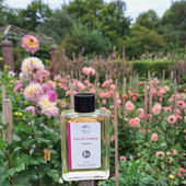 Lieben Dank euch allen🥰 (von Pluto)