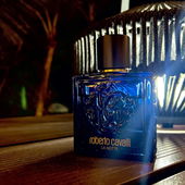 Nachtlicht vor Palmen in 🇨🇺 (von Theris)