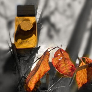 Batman🦇grüßt und bedankt sich!☺️